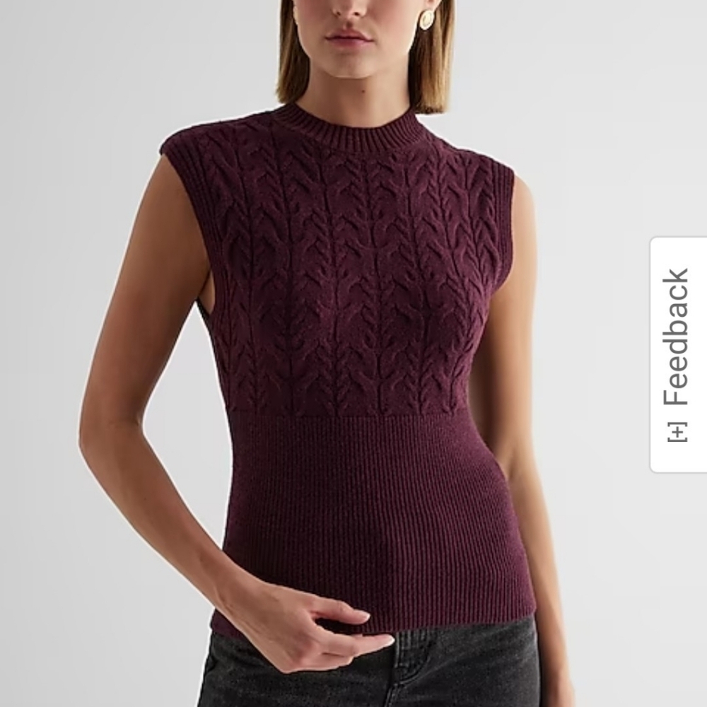 Express Sleeveless Sweater